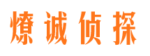 金凤资产调查